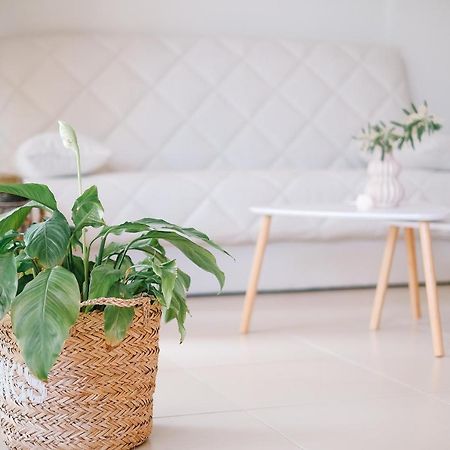 Oasis Garden House Leilighet Nea Iraklitsa Eksteriør bilde